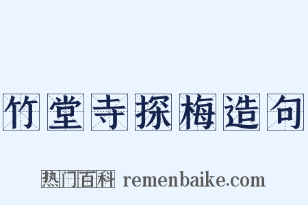 竹堂寺探梅造句是什么意思的图片